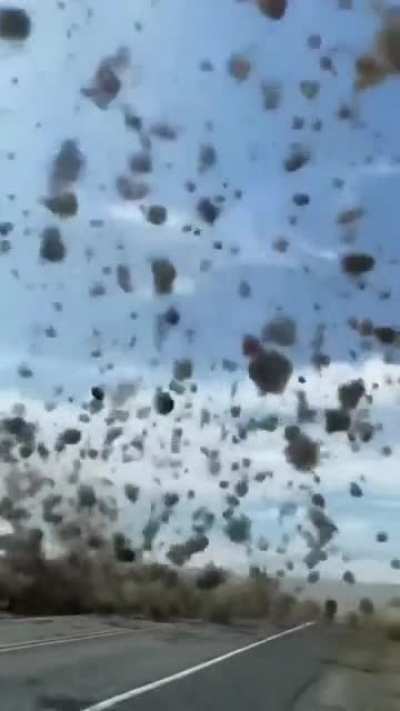 ? Sand/Dust Vortex