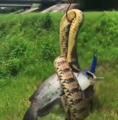Guy caught more than just a fish