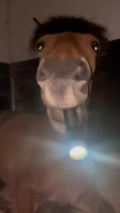 hold the dang light straight