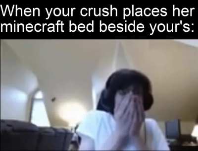 Did you just put your minecraft bed next to mine?? ?