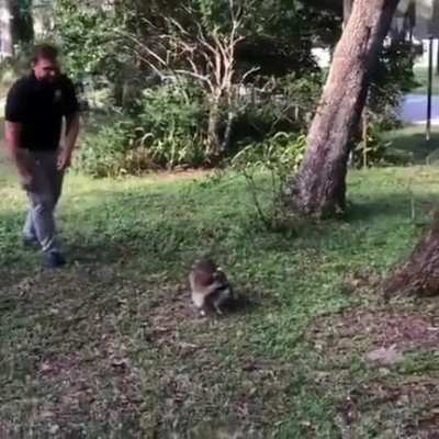 Again Hooman Again.