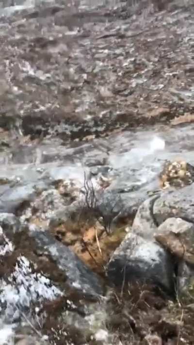 Rock go boom?