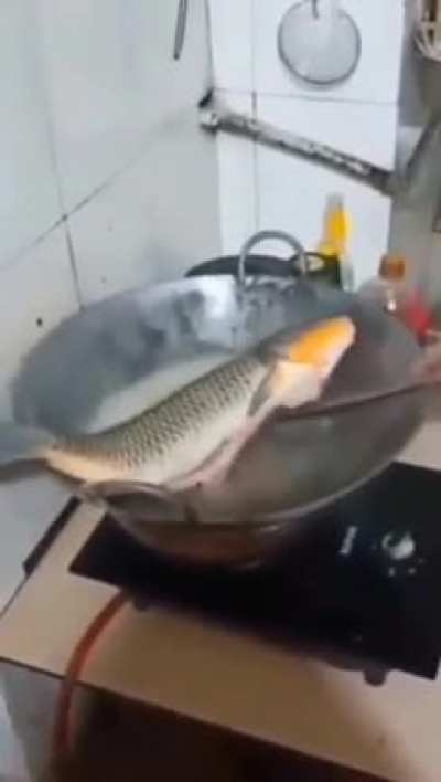 ariba