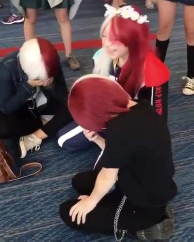 The majority of the My Hero Academia fanbase in a nutshell.