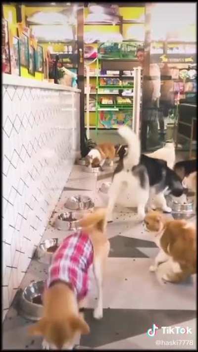 dinnertime!