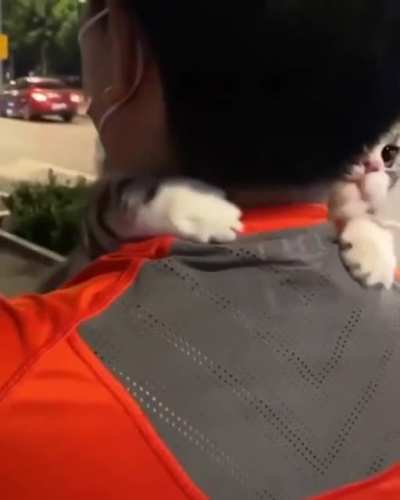 I'm scared, Daddy