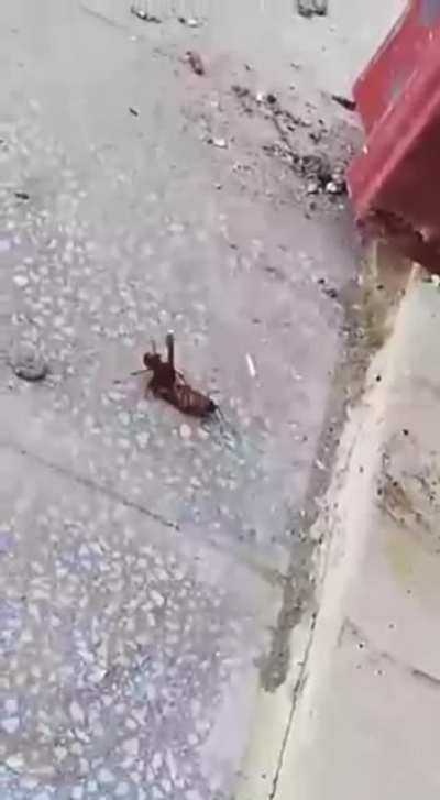 Maybe Maybe Maybe