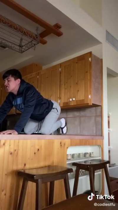 rawr xd?