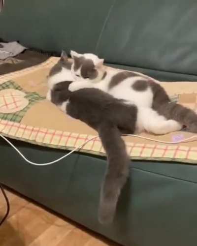 *tap tap* Hey... mind if I join you? ??
