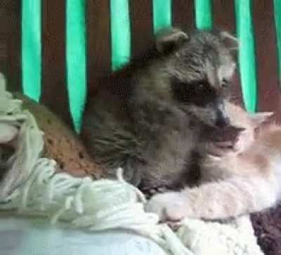 Trying to wake my girlfriend up for sex