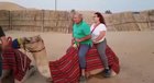 Romantic camel ride gone wrong