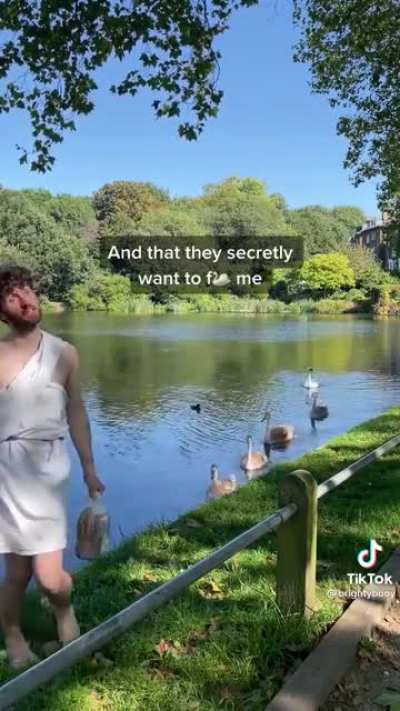 How to attract Zeus