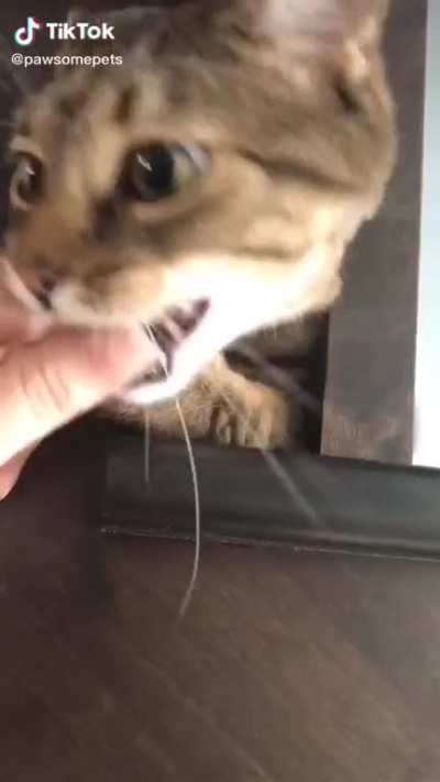The face when he realises