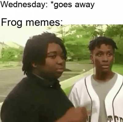 they will be back