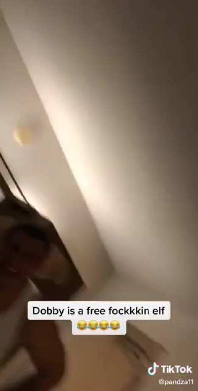 dobby but fogeddaboutit