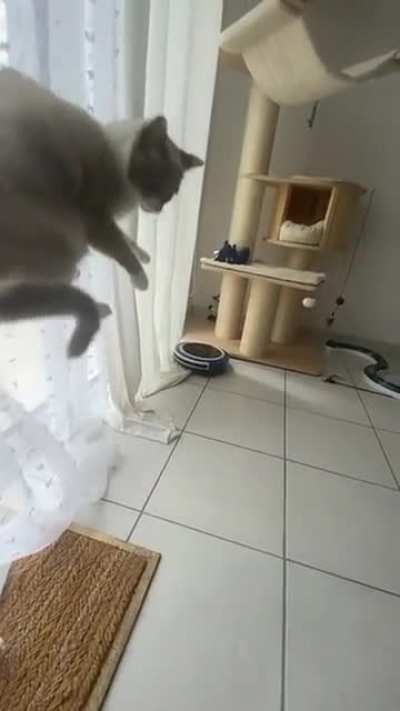 Startled in slo mo