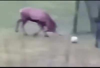 Smart deer