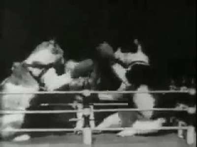 First ever cat video "Boxing Cats", filmed at Edison’s Black Maria Studio in 1894.