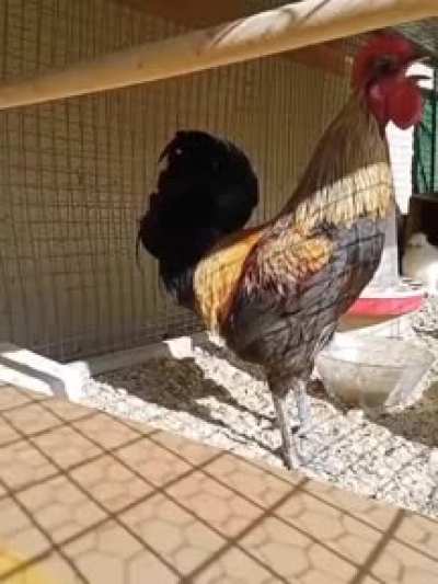 Maybe Maybe Maybe