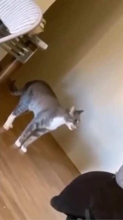 "Get out of my room"