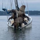 Stolen boat!