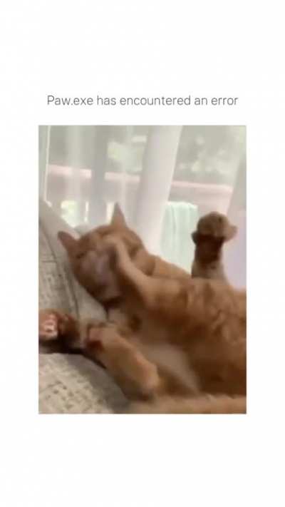 Paw.exe bunny mod