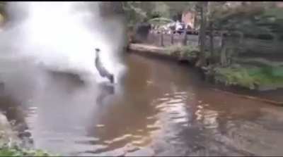 Idiots on bikes?