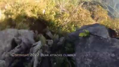 Climber fights off a bear who attacks him mid-climb