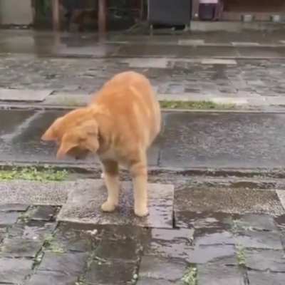 Rainy day.. ?