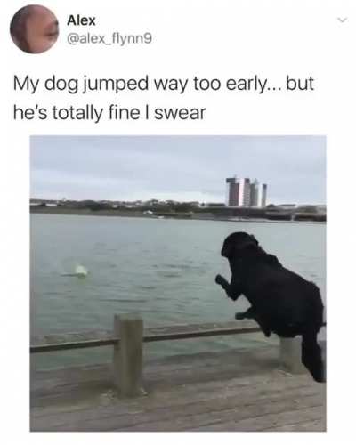 Too early too late