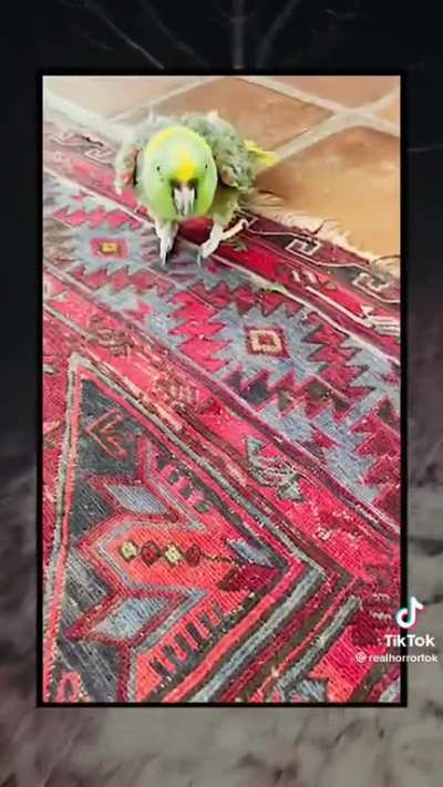 Maybe maybe maybe