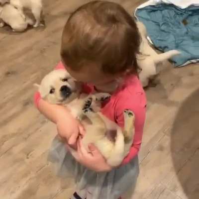 The Tiniest of the Tiniest!!! Cutie Pies?