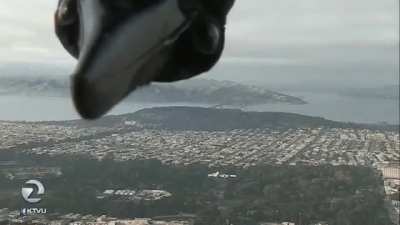 Crow interupts weather broadcast