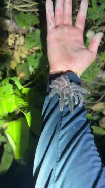 Maybe maybe maybe