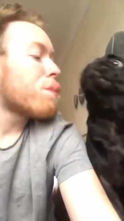 "How do you like it?"
