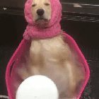 Spa Day! ?