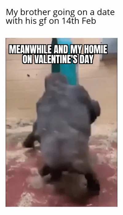 Me and my homie are monke