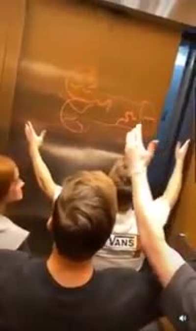 Just dudes worshiping a D