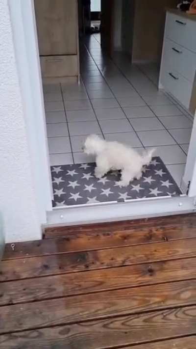 It's my house and I like it clean. ??
