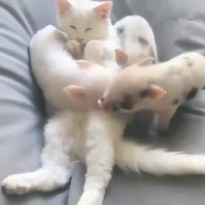 Snuggling together