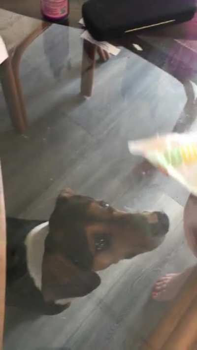 My mom was eating a sandwich on a glass table…
