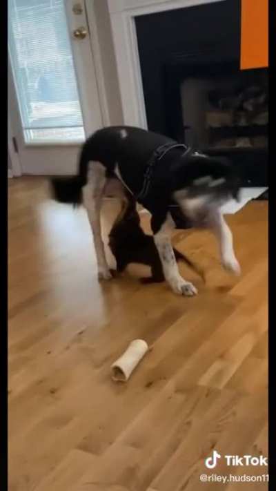 Oh no...