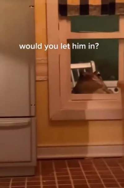would you let him in?