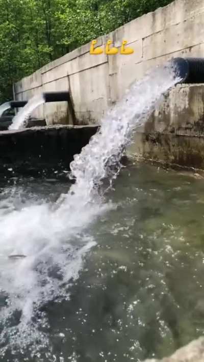 SwerveClips video lAOSR75Z30