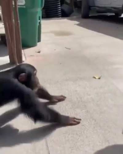 After being injured and taken into care by these people this is how he reacts when he sees them.