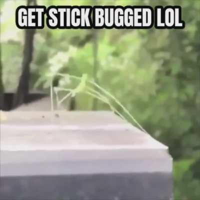 To be intimidating
