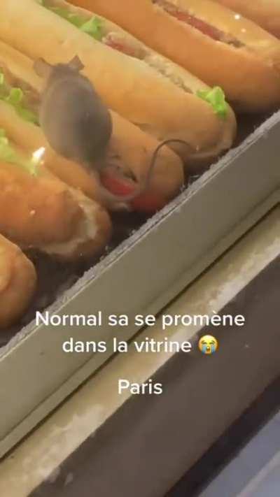 "Ratatouille" food inspection ?