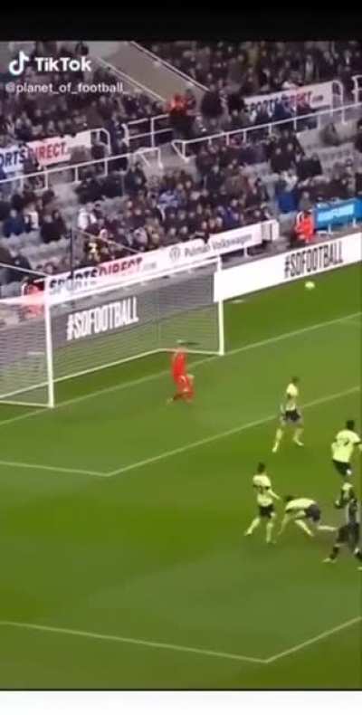 Amazing Head Goal ?