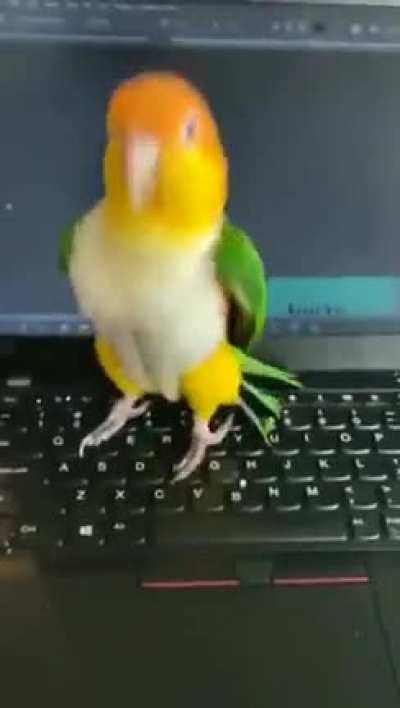 Newest Twitter employee ?