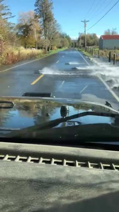 A pleasant drive